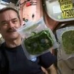Makanan Astronot Yang Simpel Tapi Nutrisi Tercukupi