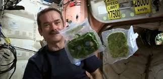 Makanan Astronot Yang Simpel Tapi Nutrisi Tercukupi