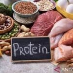5 Kelebihan Makan Makanan Tinggi Proteine Dan Banyak Serat