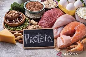 5 Kelebihan Makan Makanan Tinggi Proteine Dan Banyak Serat