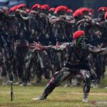 Olahraga Yang Di Sarankan Untuk Para Tentara Indonesia