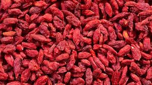 Kici Adalah Jenis Makanan yang Sangat Baik Untuk Mata