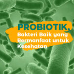 Bakteri Baik Sangat Bagus Di Konsumsi Saat Melakukan Diet
